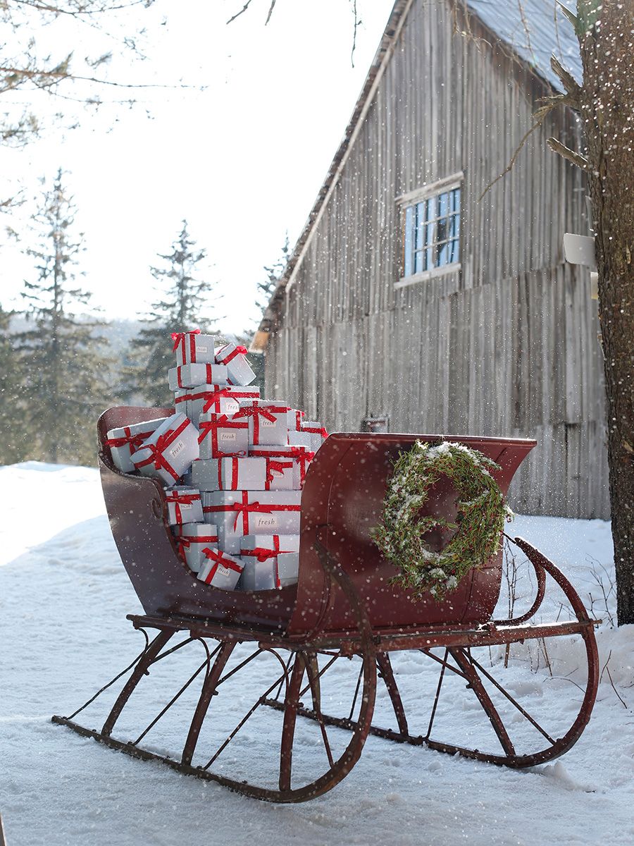 Holiday_2016_Gifts_Sled_2690